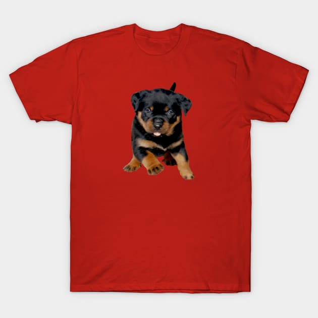 Cute Rottweiler Puppy Running With Tongue Out T-Shirt by taiche